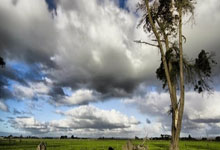 开云官网-篮球双星闪耀日，热火强势晋级东部决赛，福克斯欧冠半决赛接管比赛